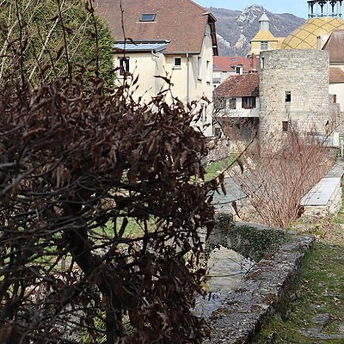 Photo de Tour de Flore de Salins-les-Bains