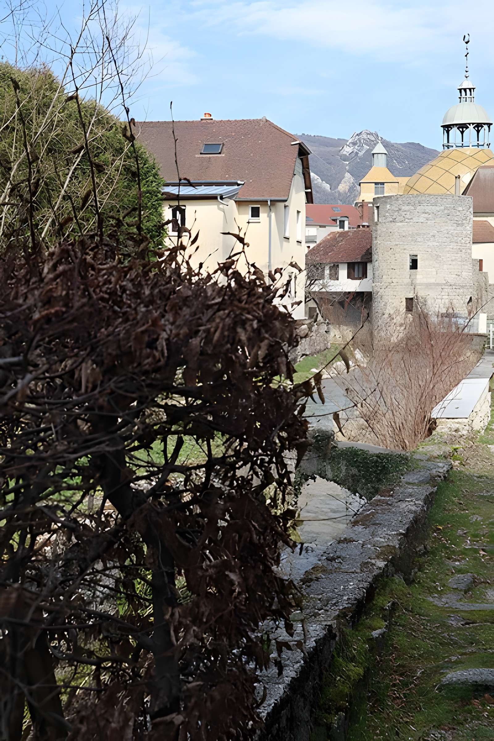 Tour de Flore de Salins-les-Bains
