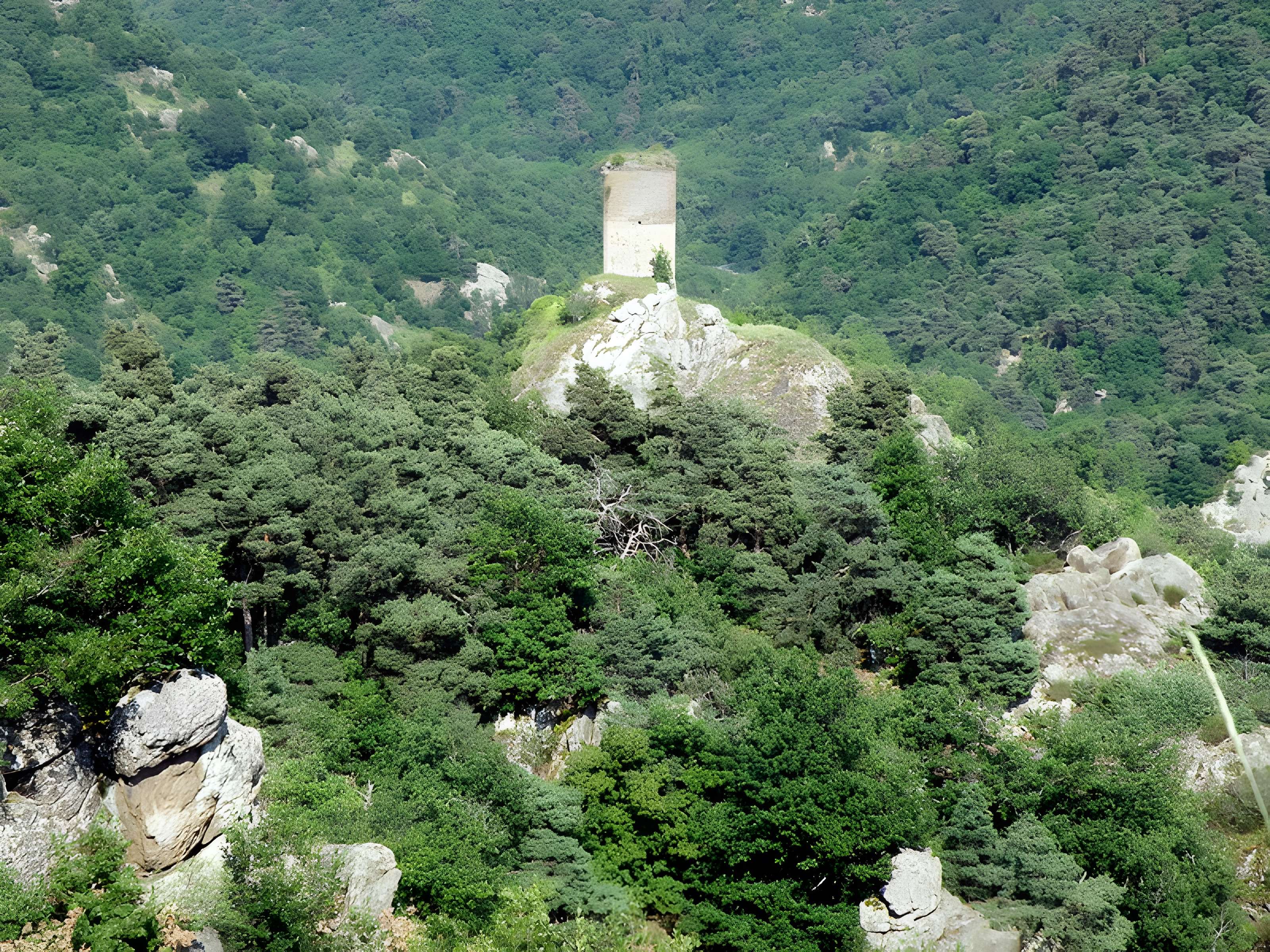 Tour de Rognon de Montaigut-le-Blanc