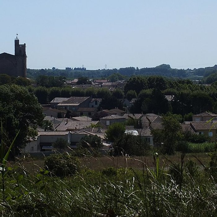 Photo de Collégiale Saint-Étienne de Capestang
