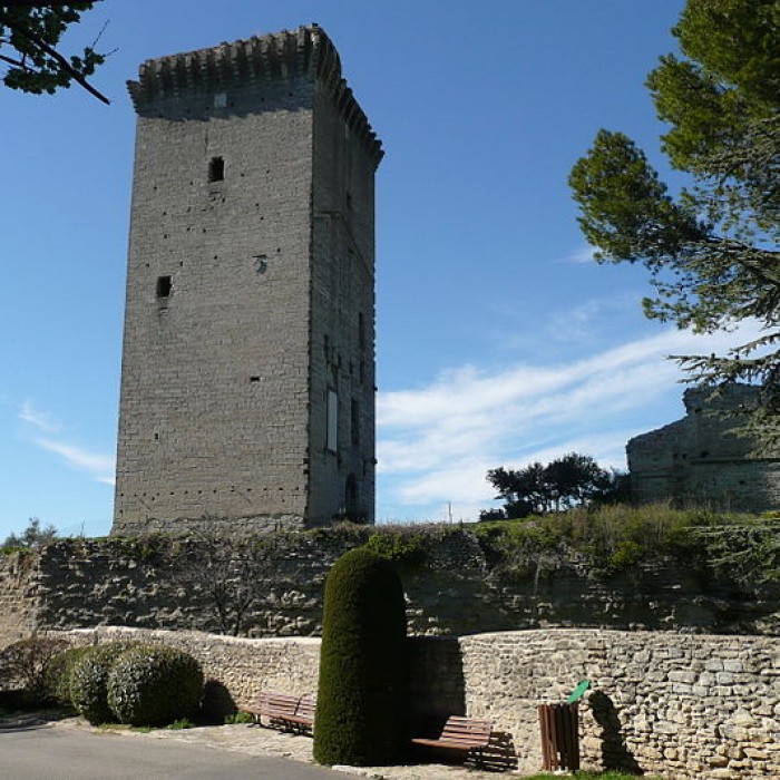 Photo de Tour du Cardinal Grimaldi de Barbentane