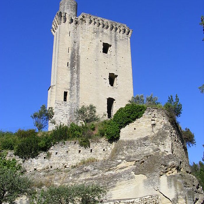 Photo de Tour du Cardinal Grimaldi de Barbentane