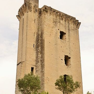 Tour du Cardinal Grimaldi de Barbentane