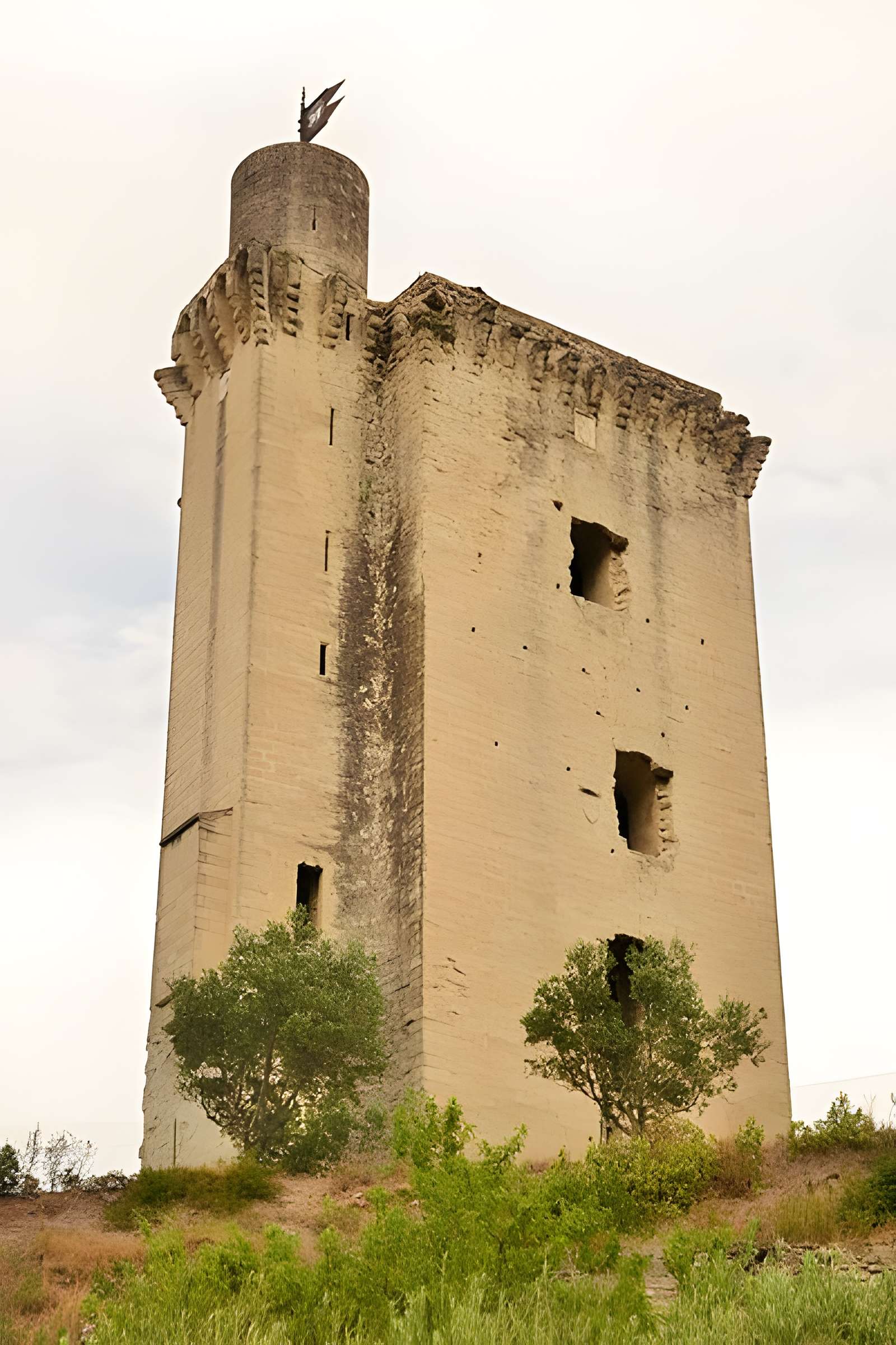 Tour du Cardinal Grimaldi de Barbentane