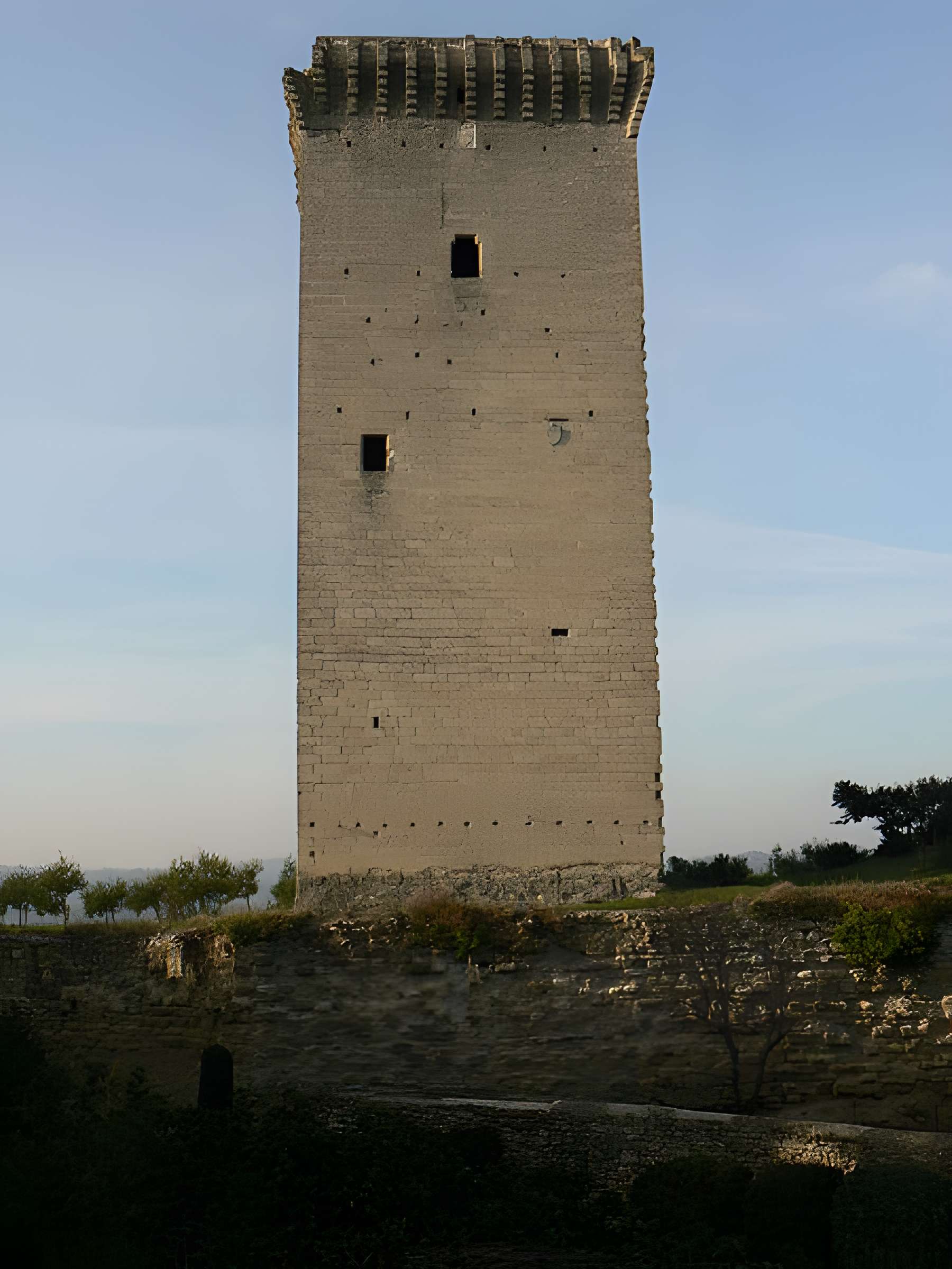 Tour du Cardinal Grimaldi de Barbentane