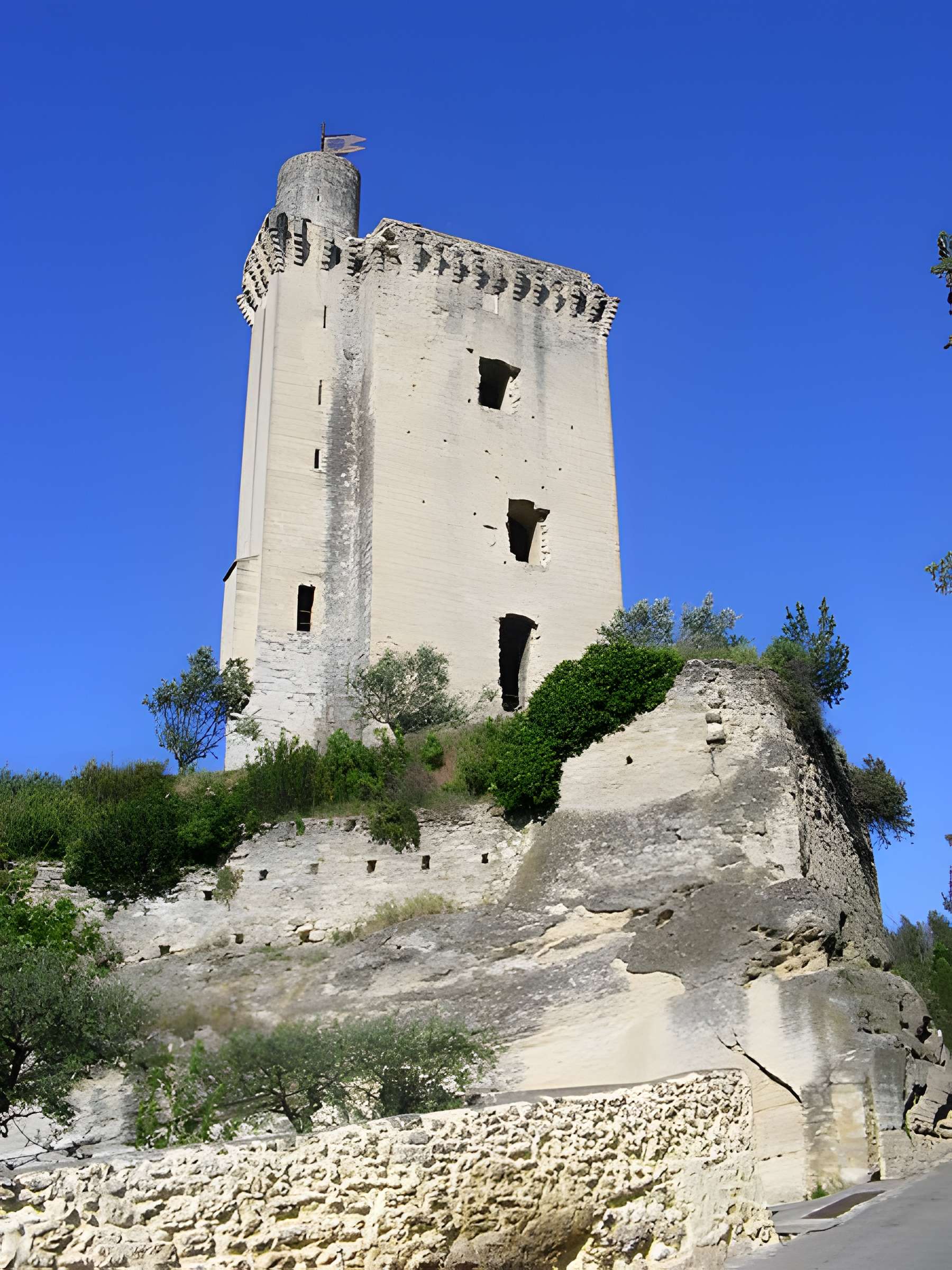 Tour du Cardinal Grimaldi de Barbentane
