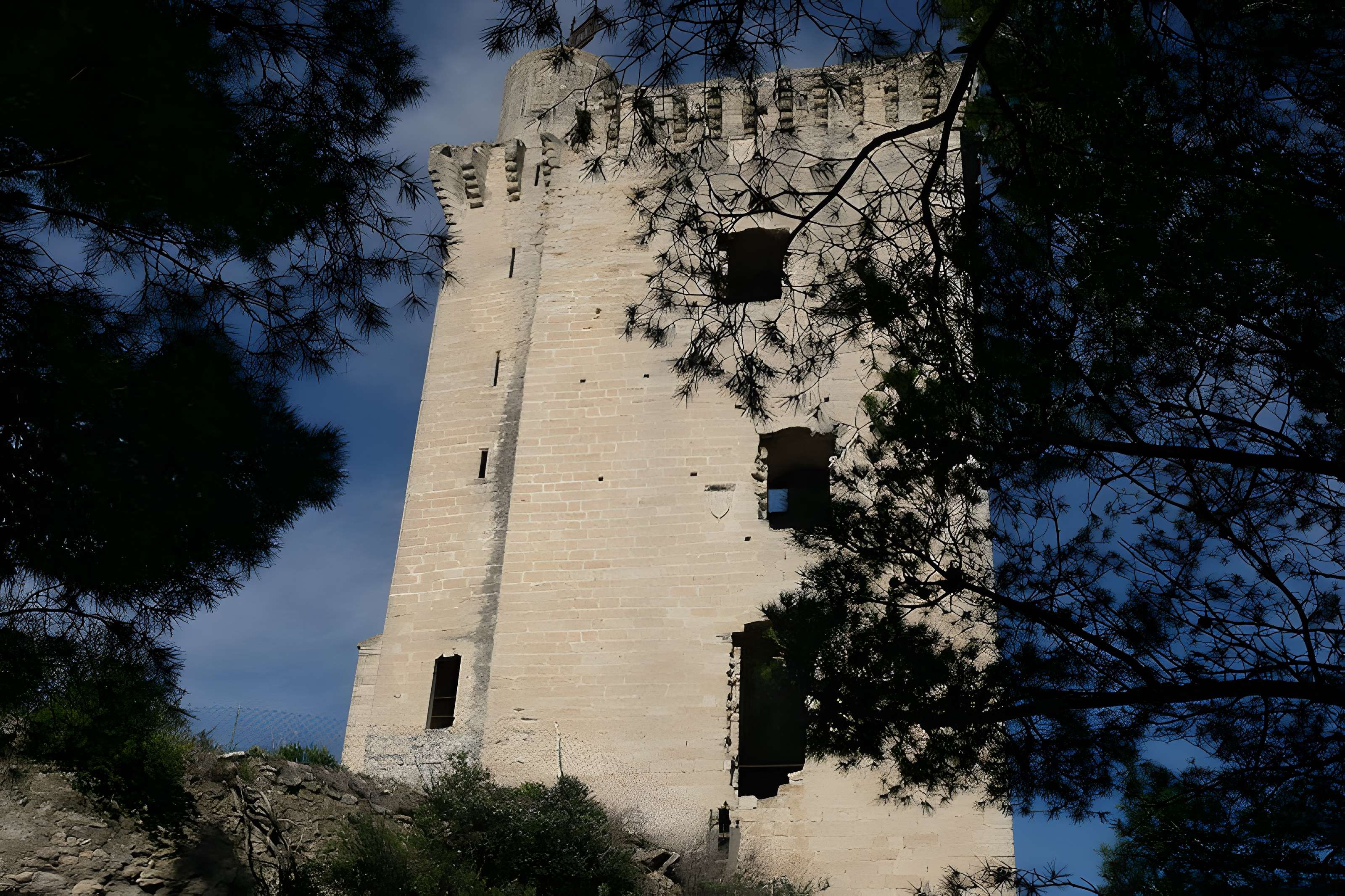 Tour du Cardinal Grimaldi de Barbentane