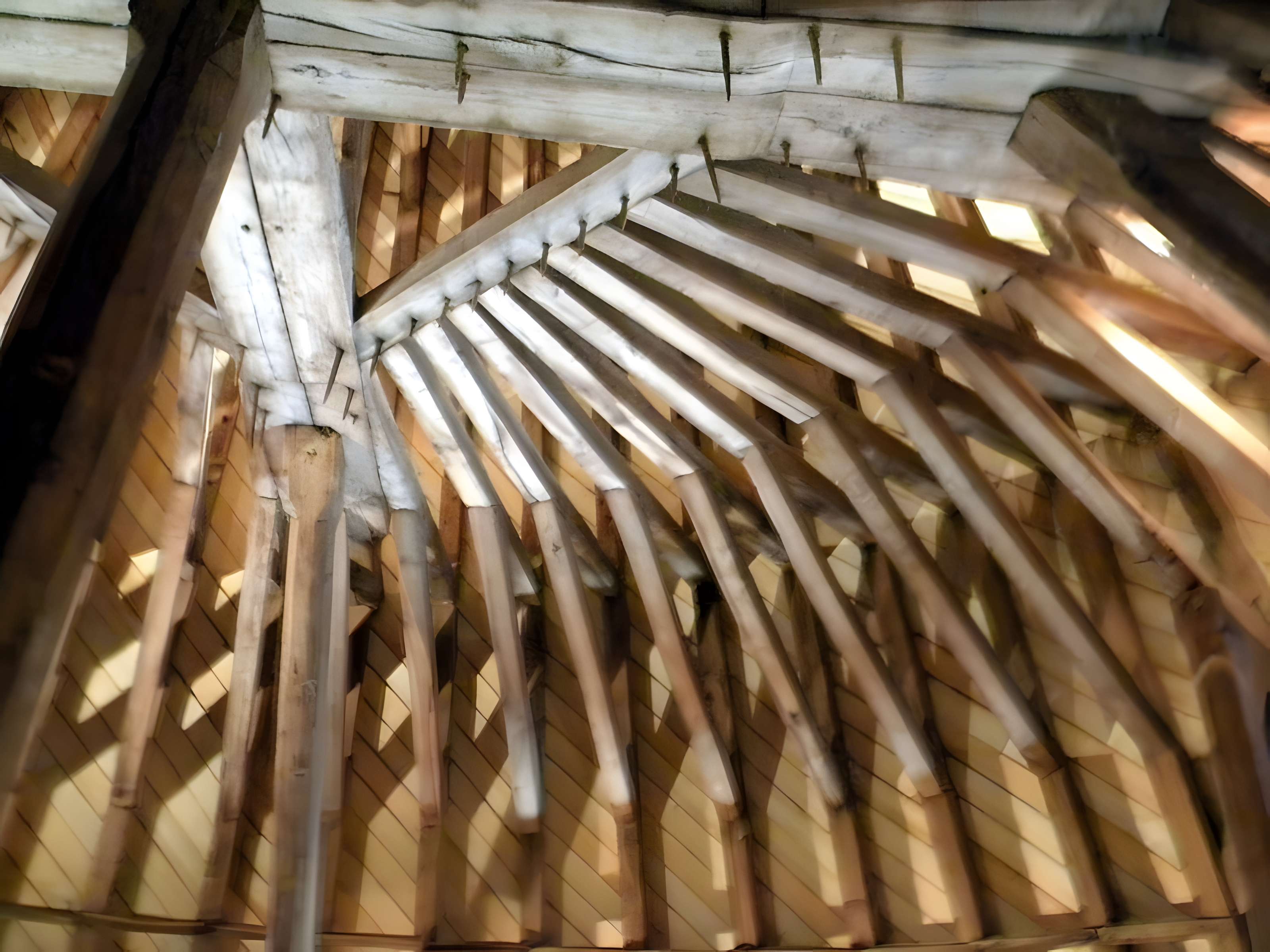 Tour du moulin de Marcigny