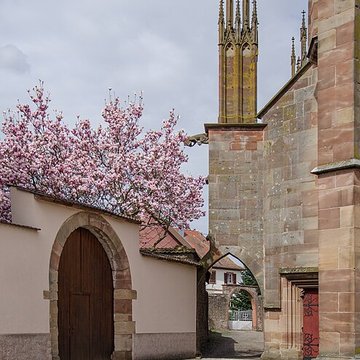 Collégiale Saint-Florent de Niederhaslach