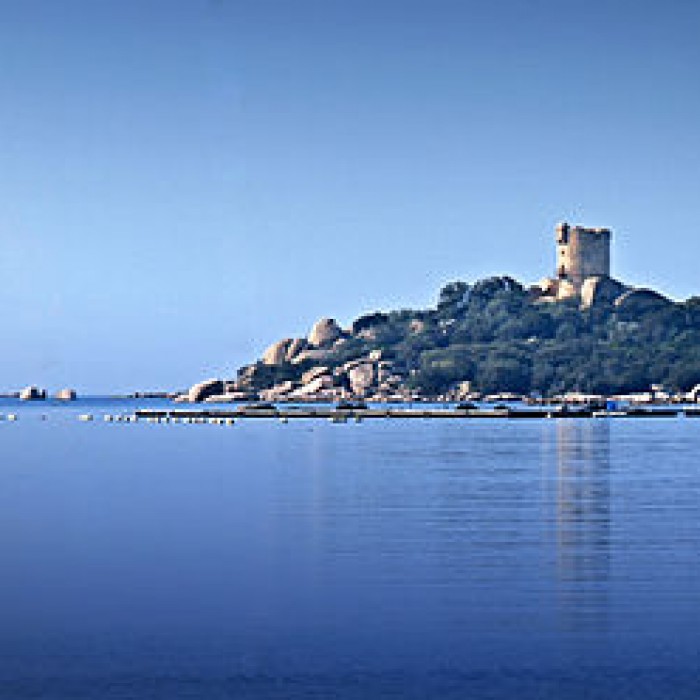 Photo de Tour génoise de Caldarello