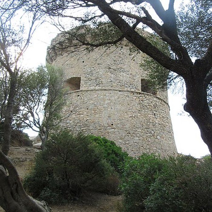 Photo de Tour génoise de Campomoro