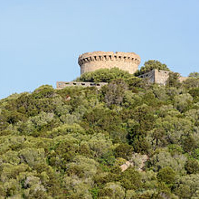 Photo de Tour génoise de Campomoro
