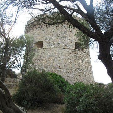 Tour génoise de Campomoro