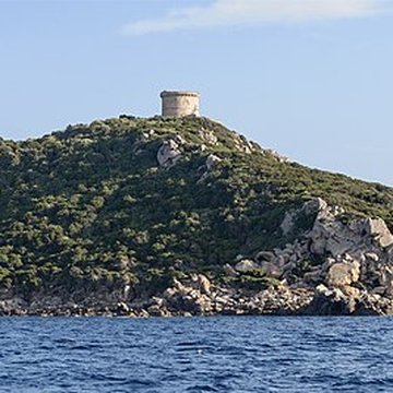 Tour génoise de Campomoro