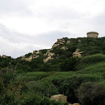 Tour génoise de Campomoro