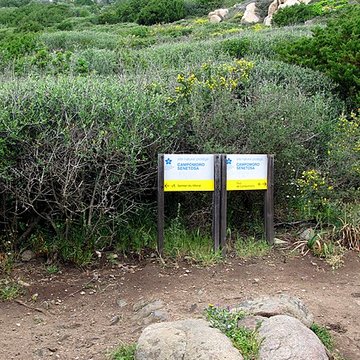 Tour génoise de Campomoro