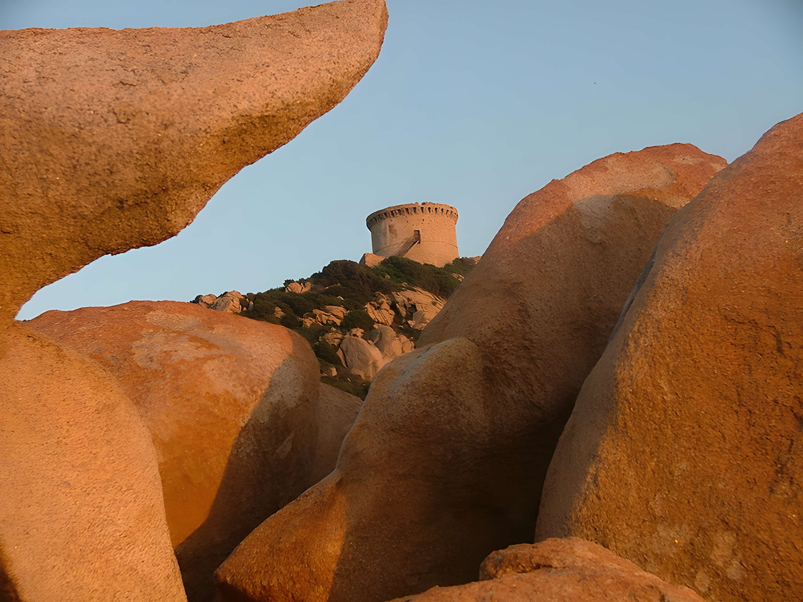 Tour génoise de Campomoro