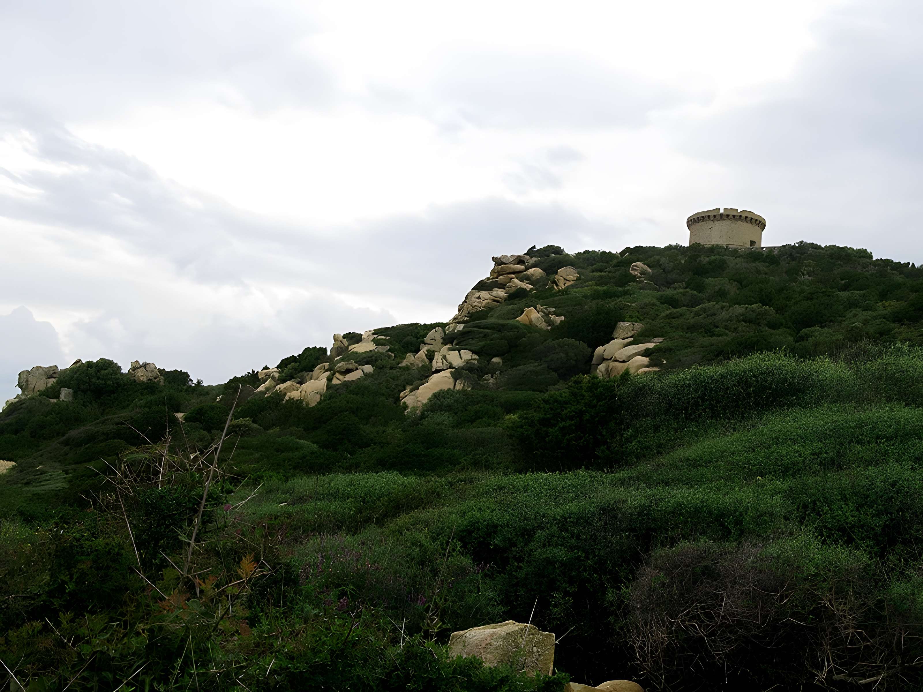 Tour génoise de Campomoro