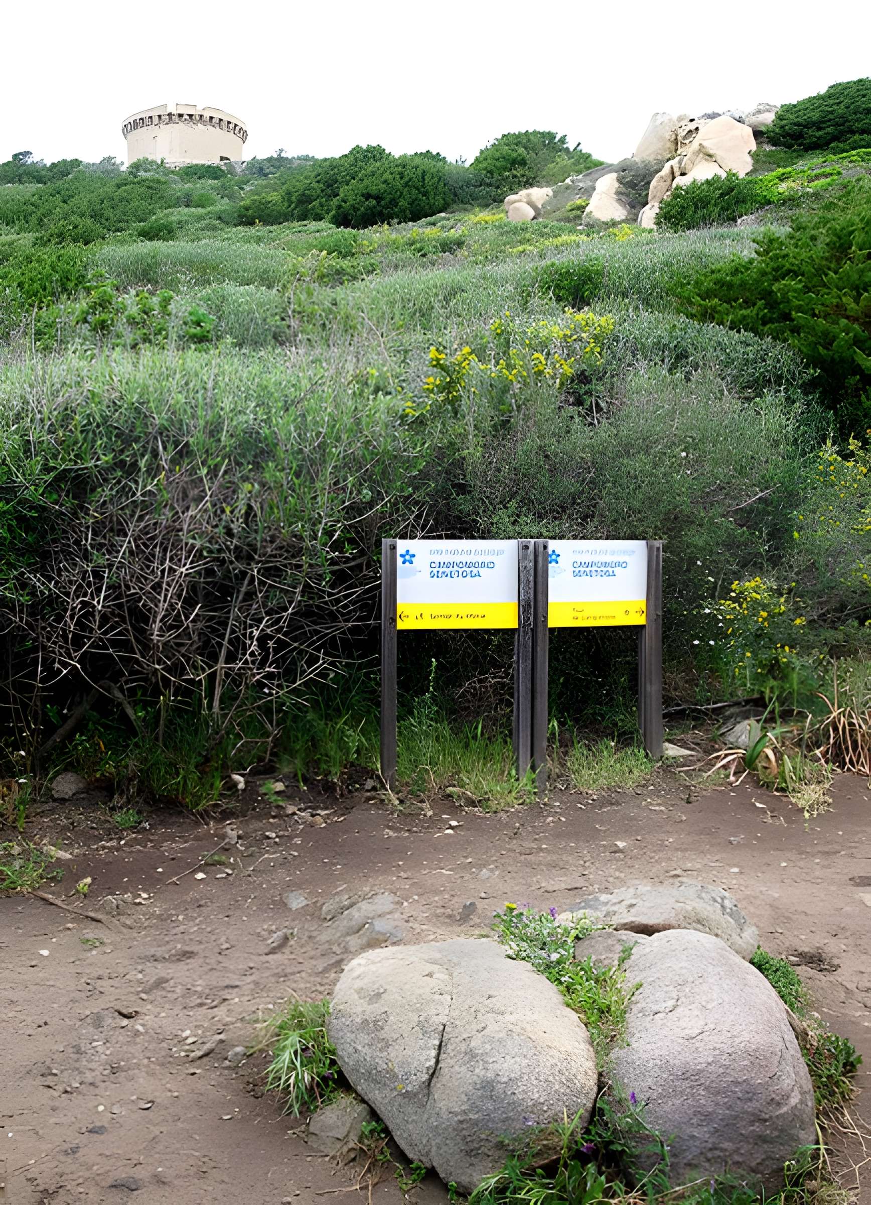 Tour génoise de Campomoro