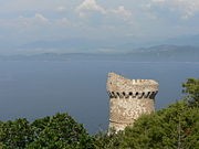 Photo de Tour génoise de Capo-di-Muro