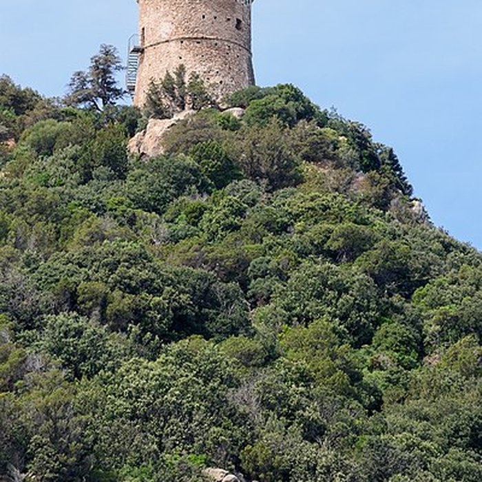 Photo de Tour génoise de Capo-di-Muro