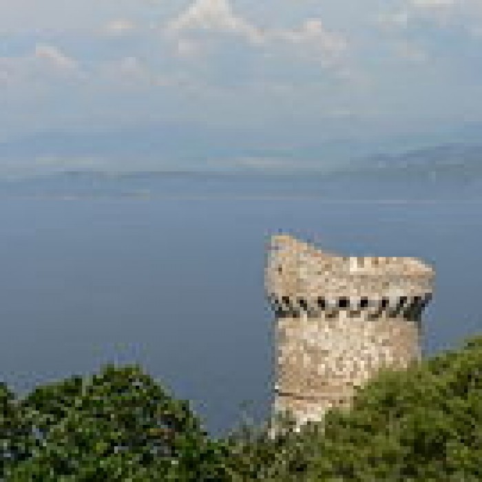 Photo de Tour génoise de Capo-di-Muro