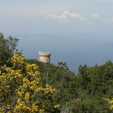 Tour génoise de Capo-di-Muro