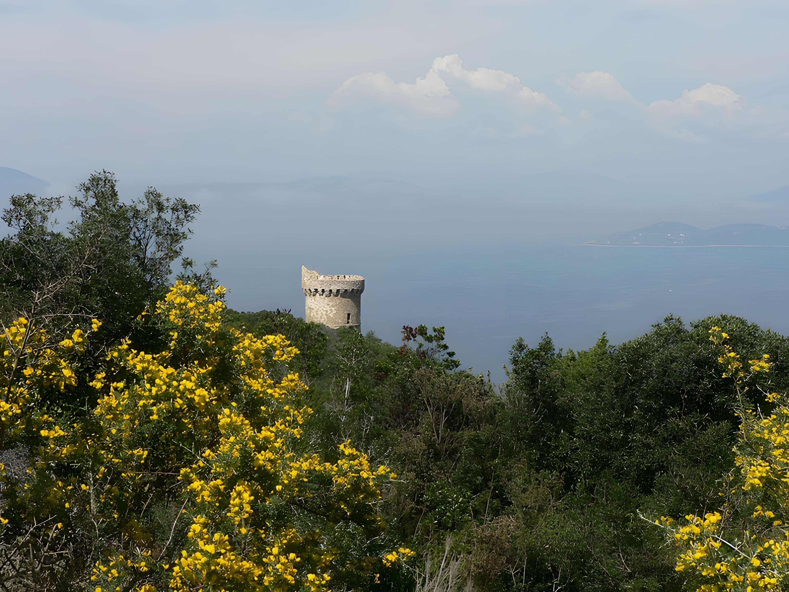 Tour génoise de Capo-di-Muro
