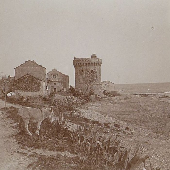 Photo de Tour génoise de Miomo