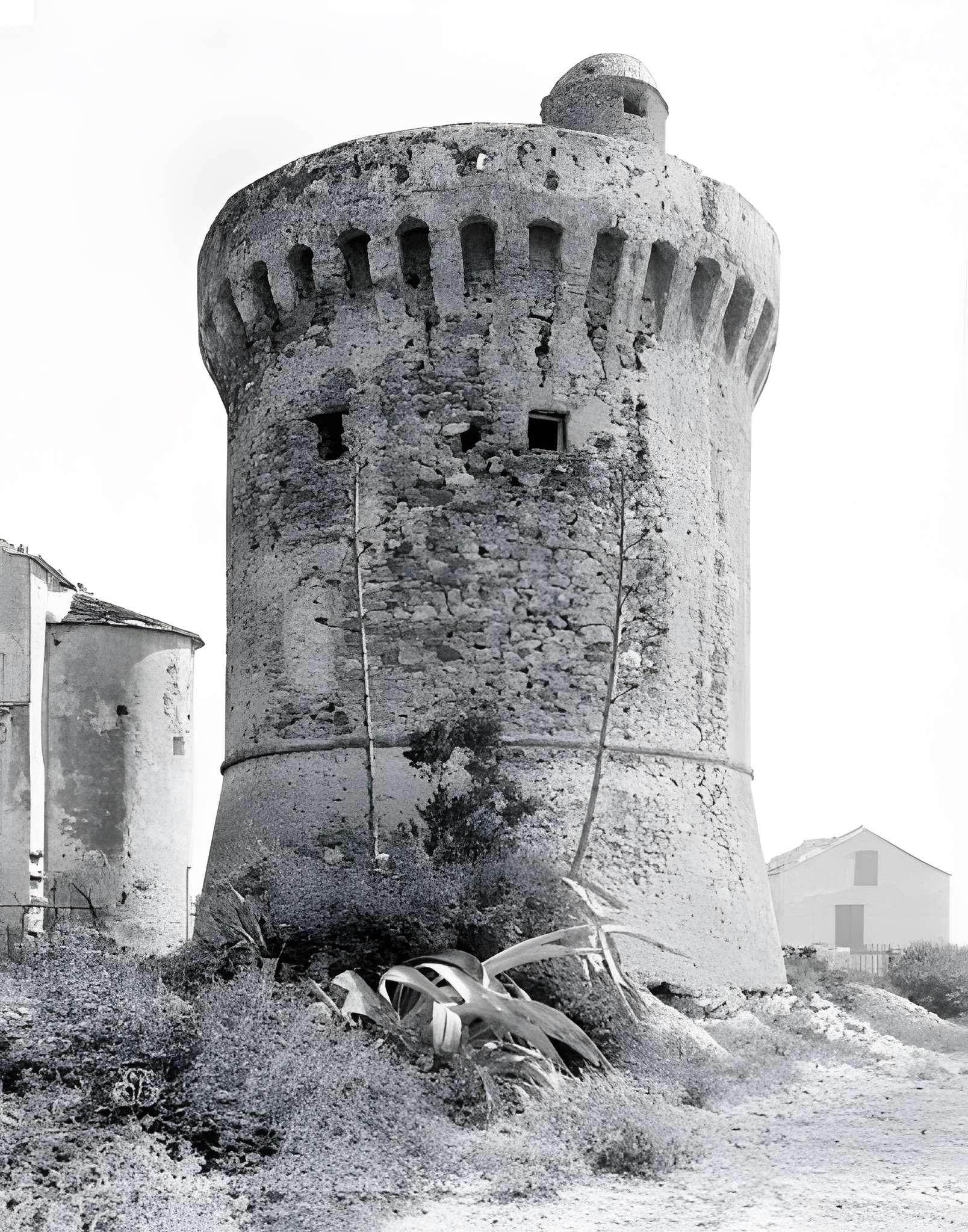 Tour génoise de Miomo