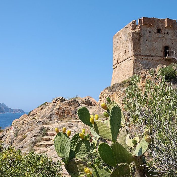 Photo de Tour génoise de Porto