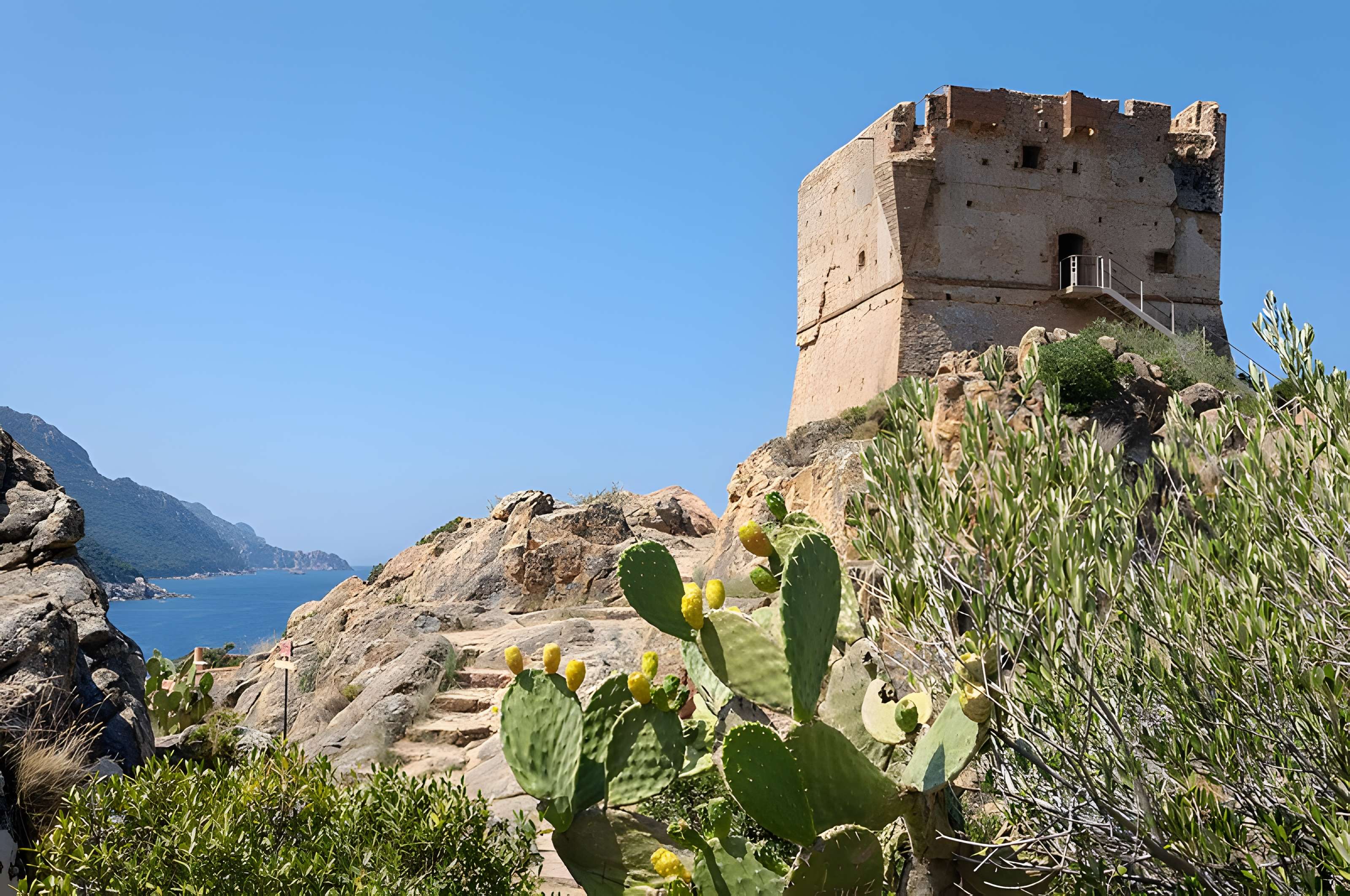 Tour génoise de Porto