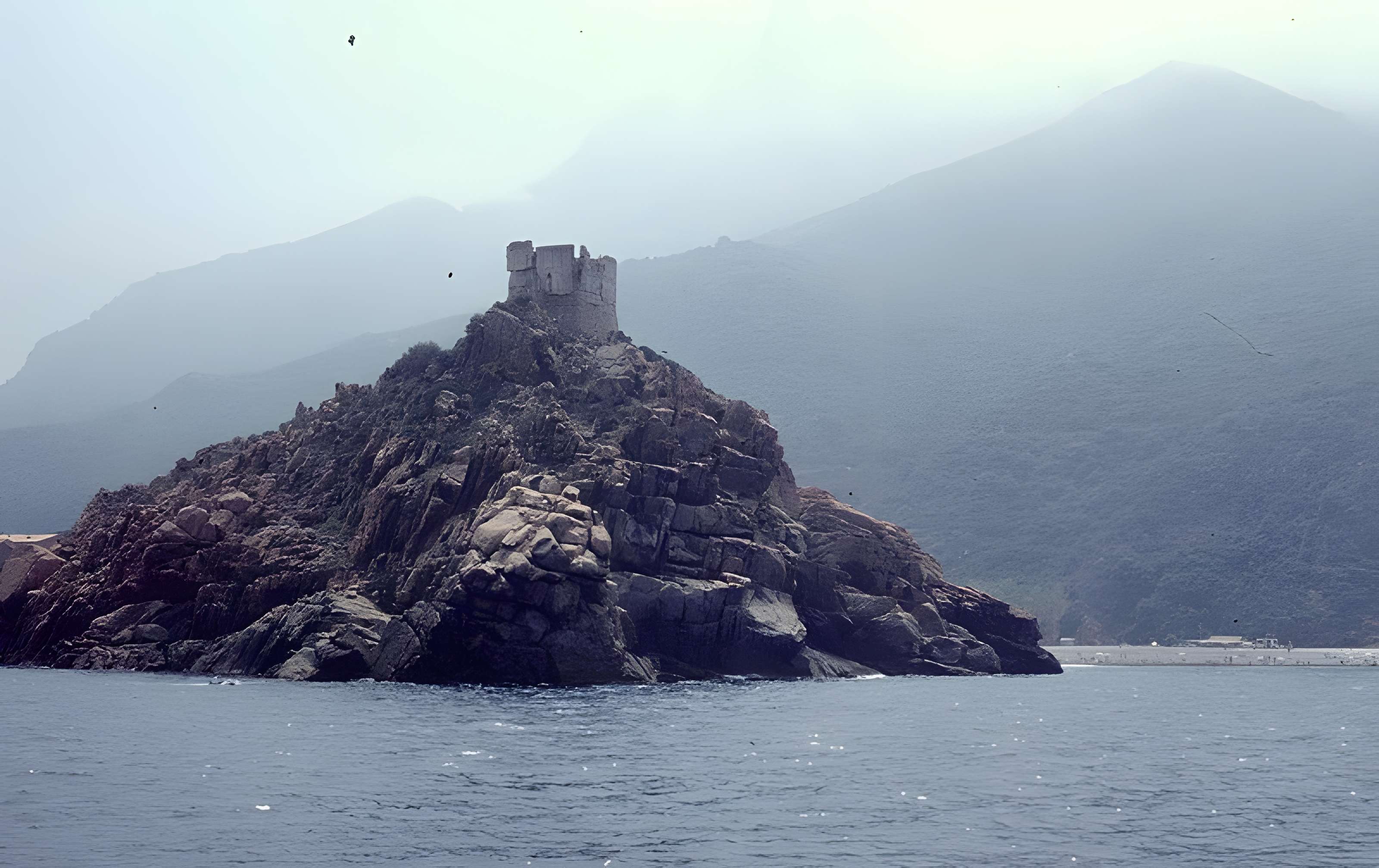 Tour génoise de Porto