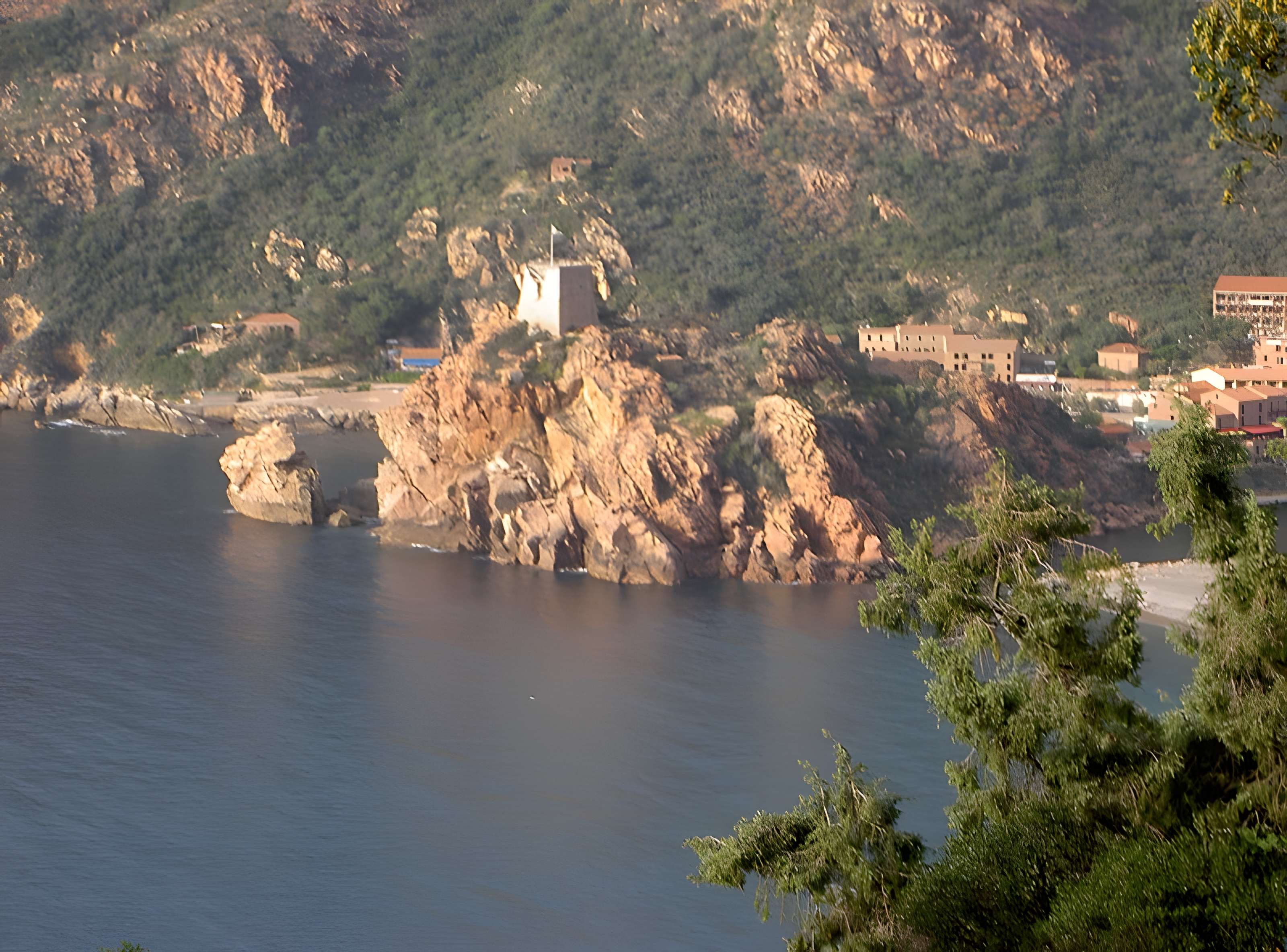 Tour génoise de Porto