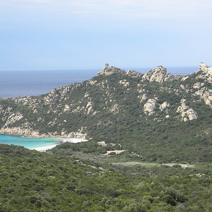 Photo de Tour génoise de Roccapina