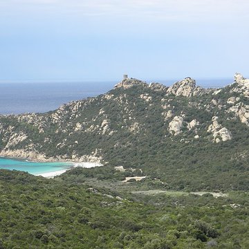 Tour génoise de Roccapina