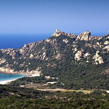 Tour génoise de Roccapina