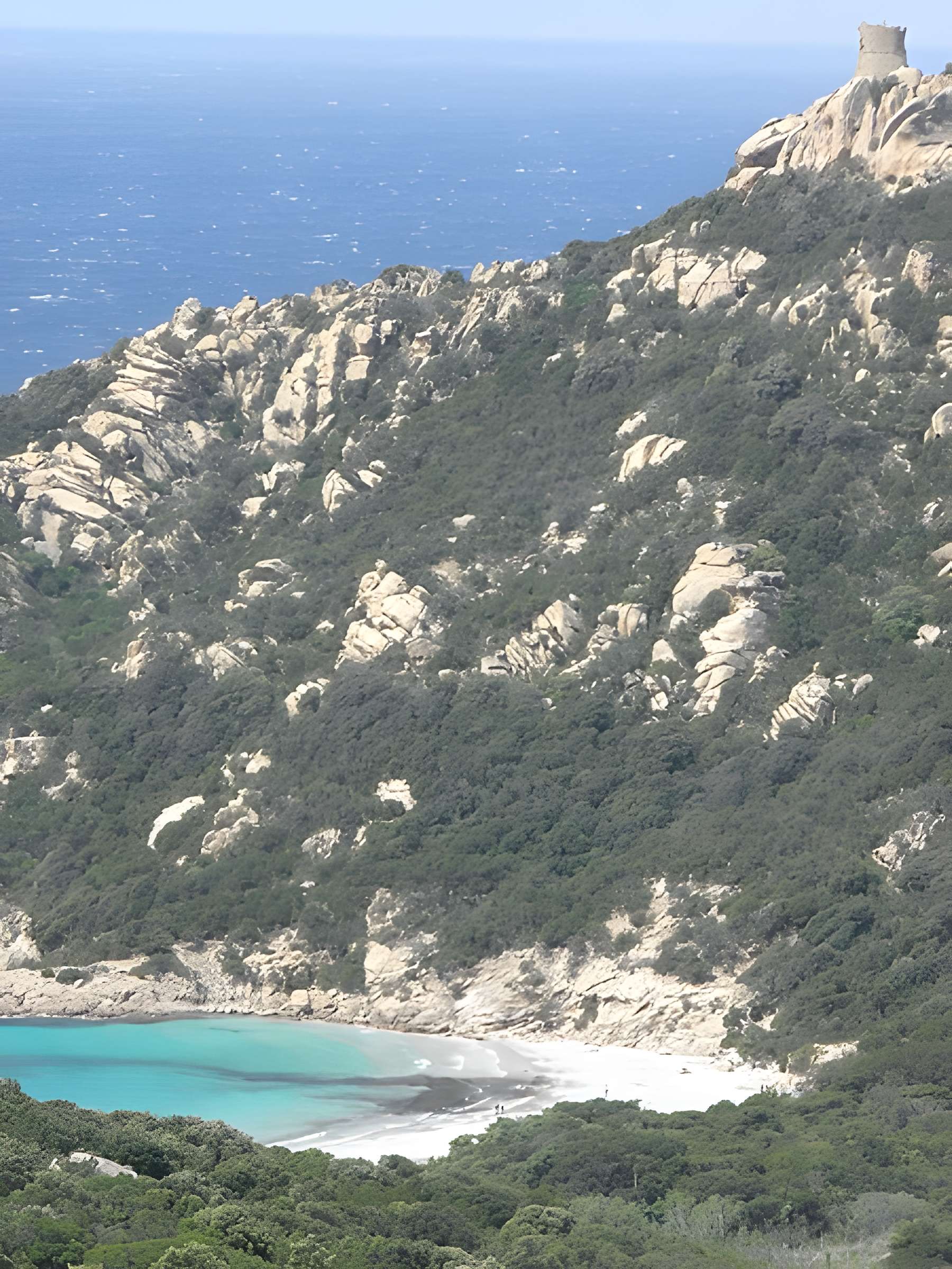 Tour génoise de Roccapina