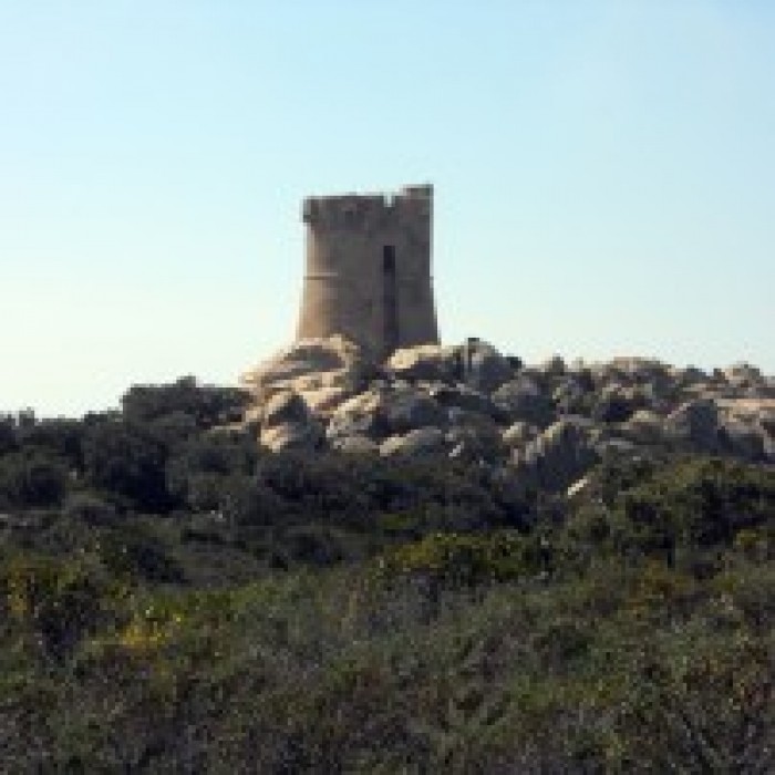 Photo de Tour génoise de Senetosa