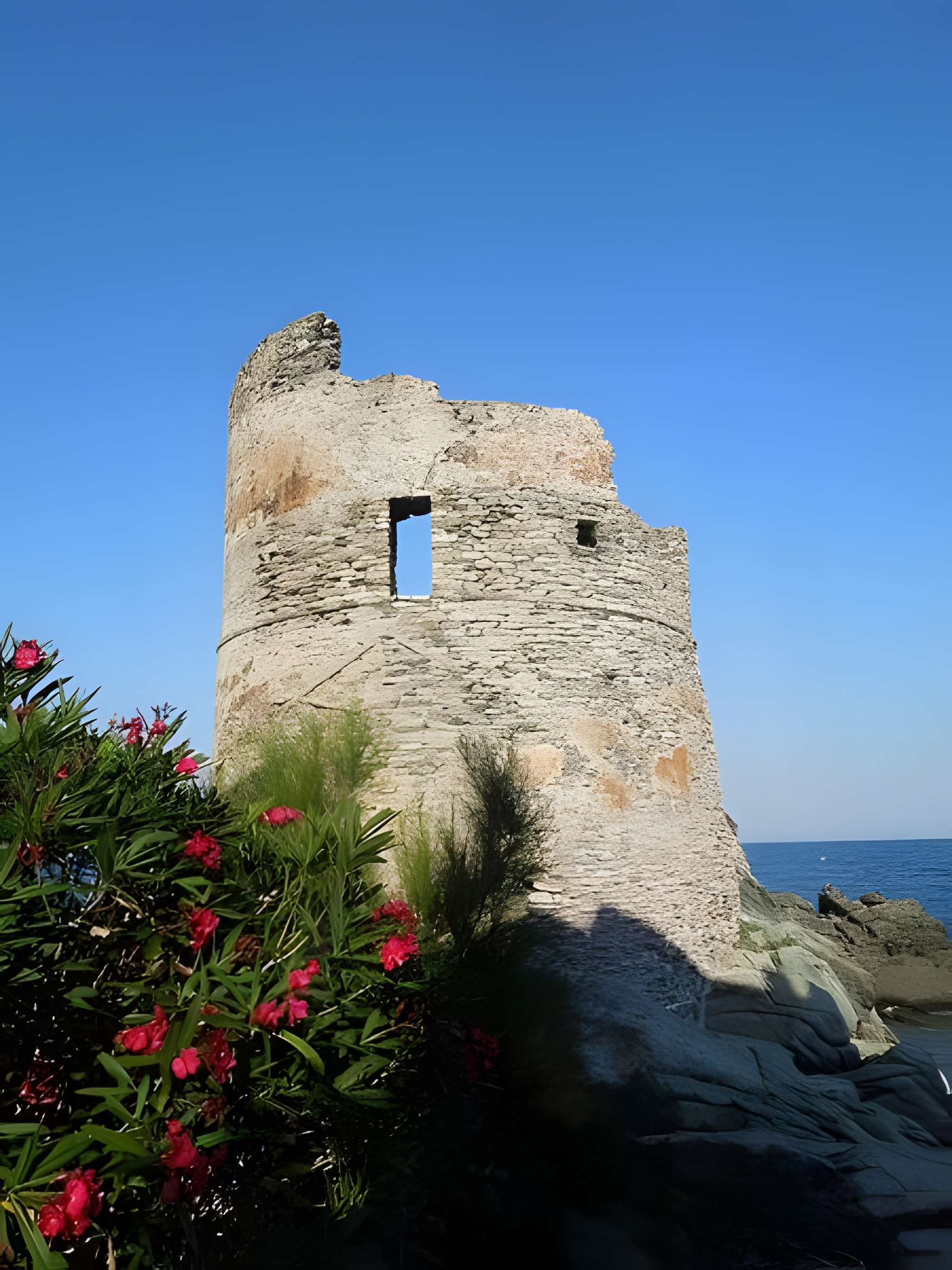 Tour génoise d'Erbalunga