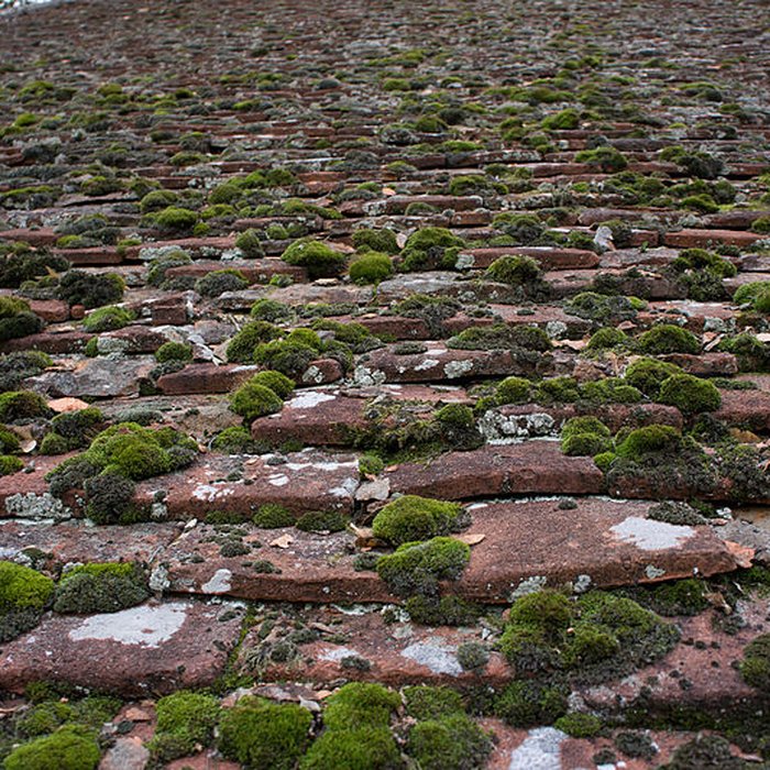 Photo de Tuilerie de Chapaize