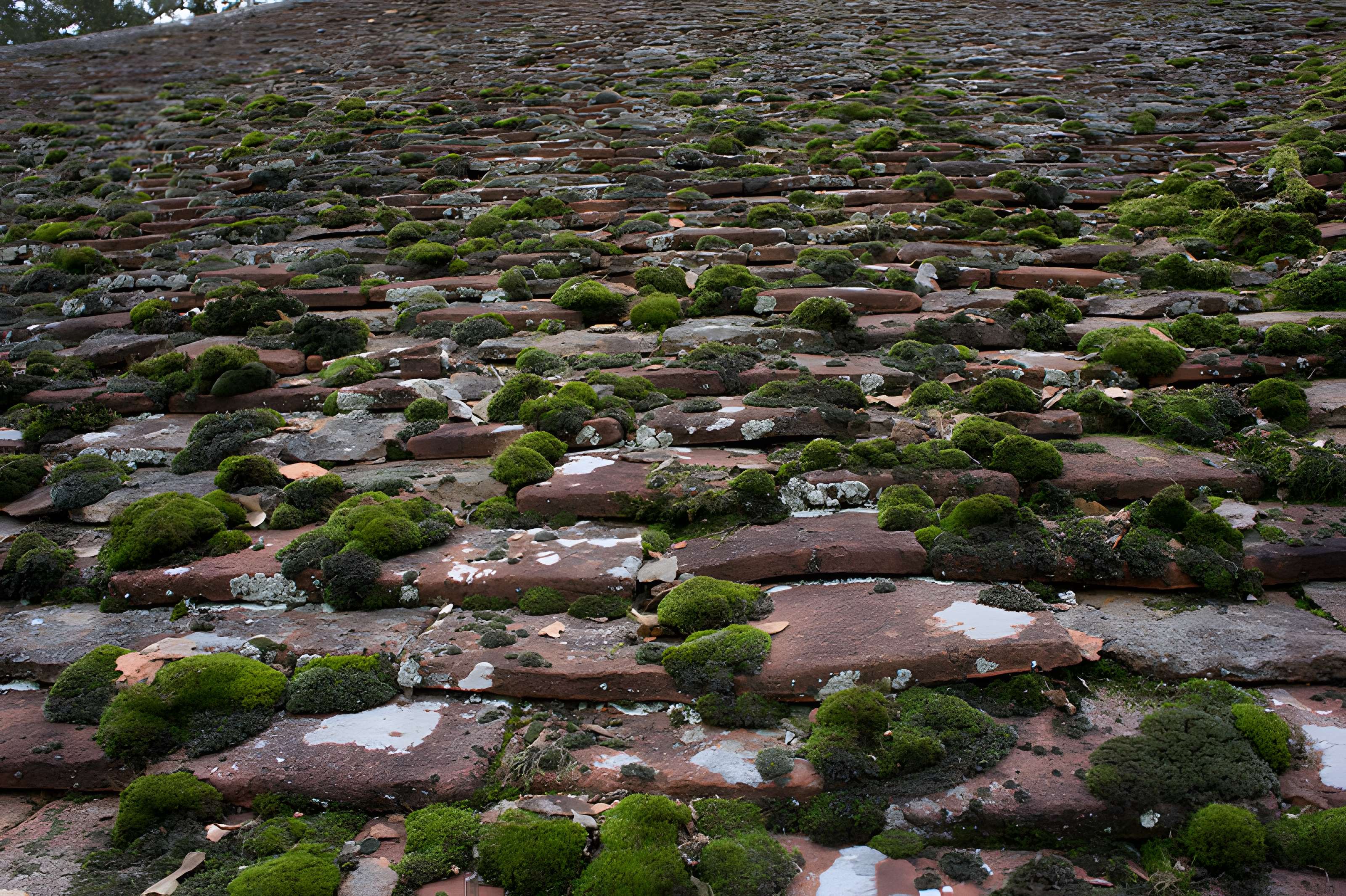 Tuilerie de Chapaize