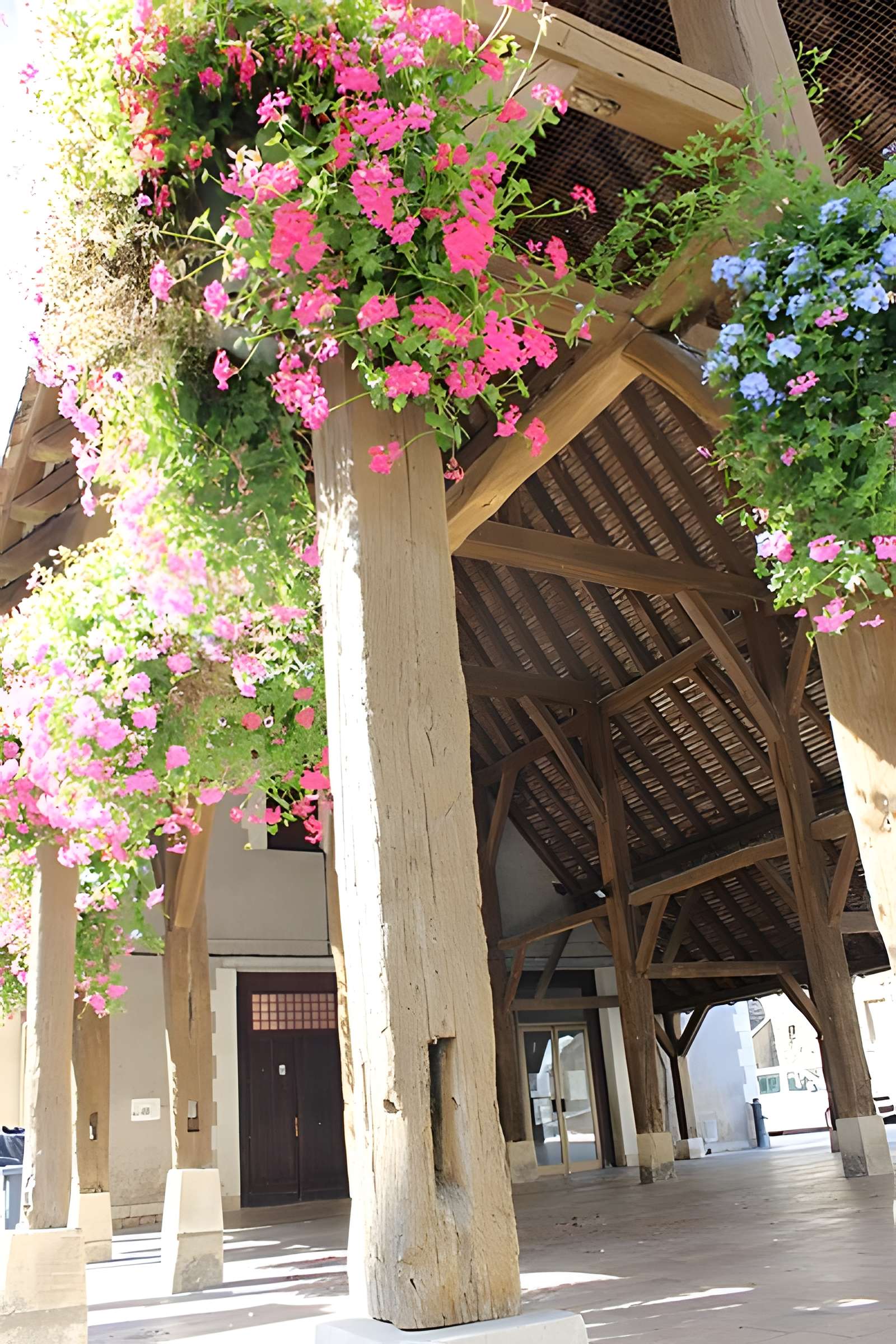 Vieille halle de Luynes