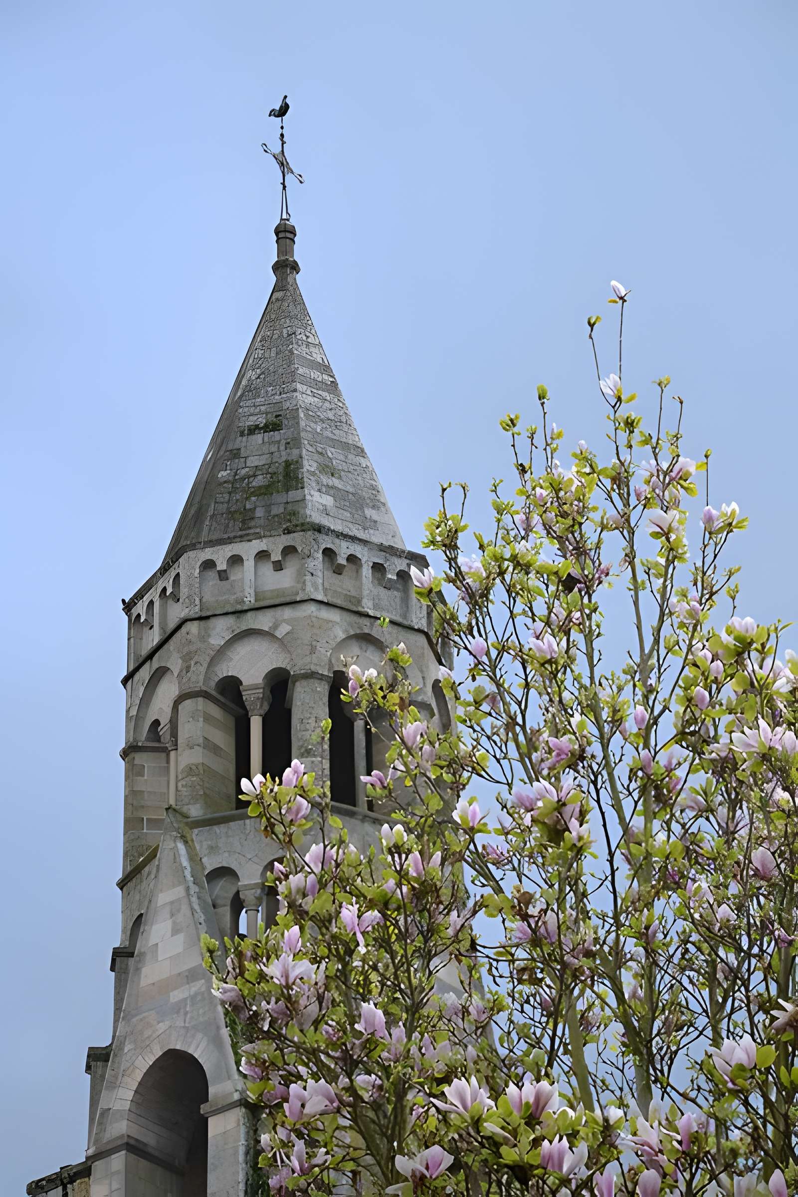 Collégiale Saint-Léonard de Saint-Léonard-de-Noblat