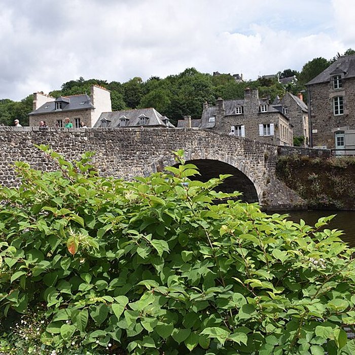 Photo de Vieux pont de Dinan