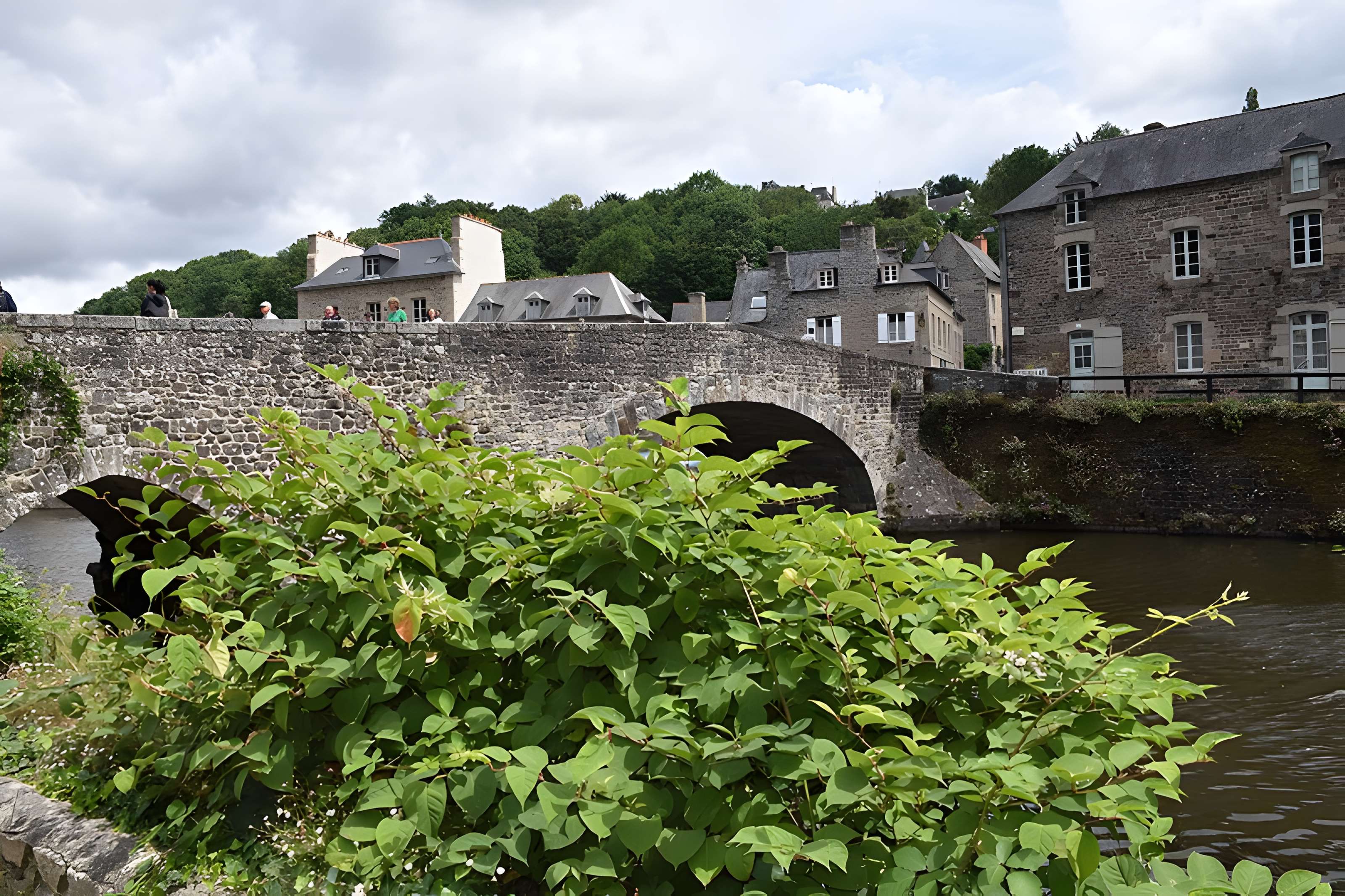 Vieux pont de Dinan