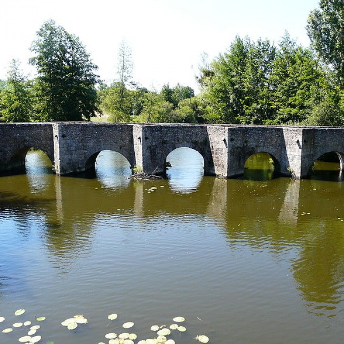 Photo de Vieux pont de Gourgé