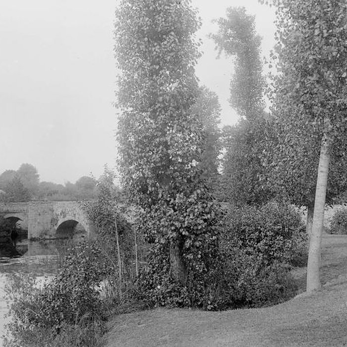 Photo de Vieux pont de Gourgé