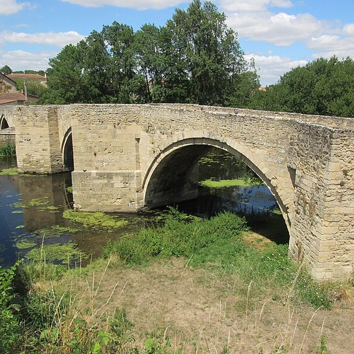Photo de Vieux pont de Saint-Généroux