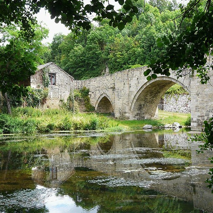 Photo de Vieux pont de Saint-Généroux